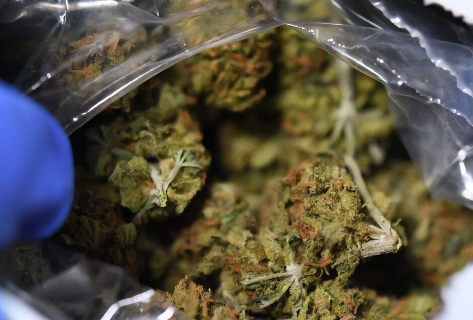 image Two more arrests made over drug find